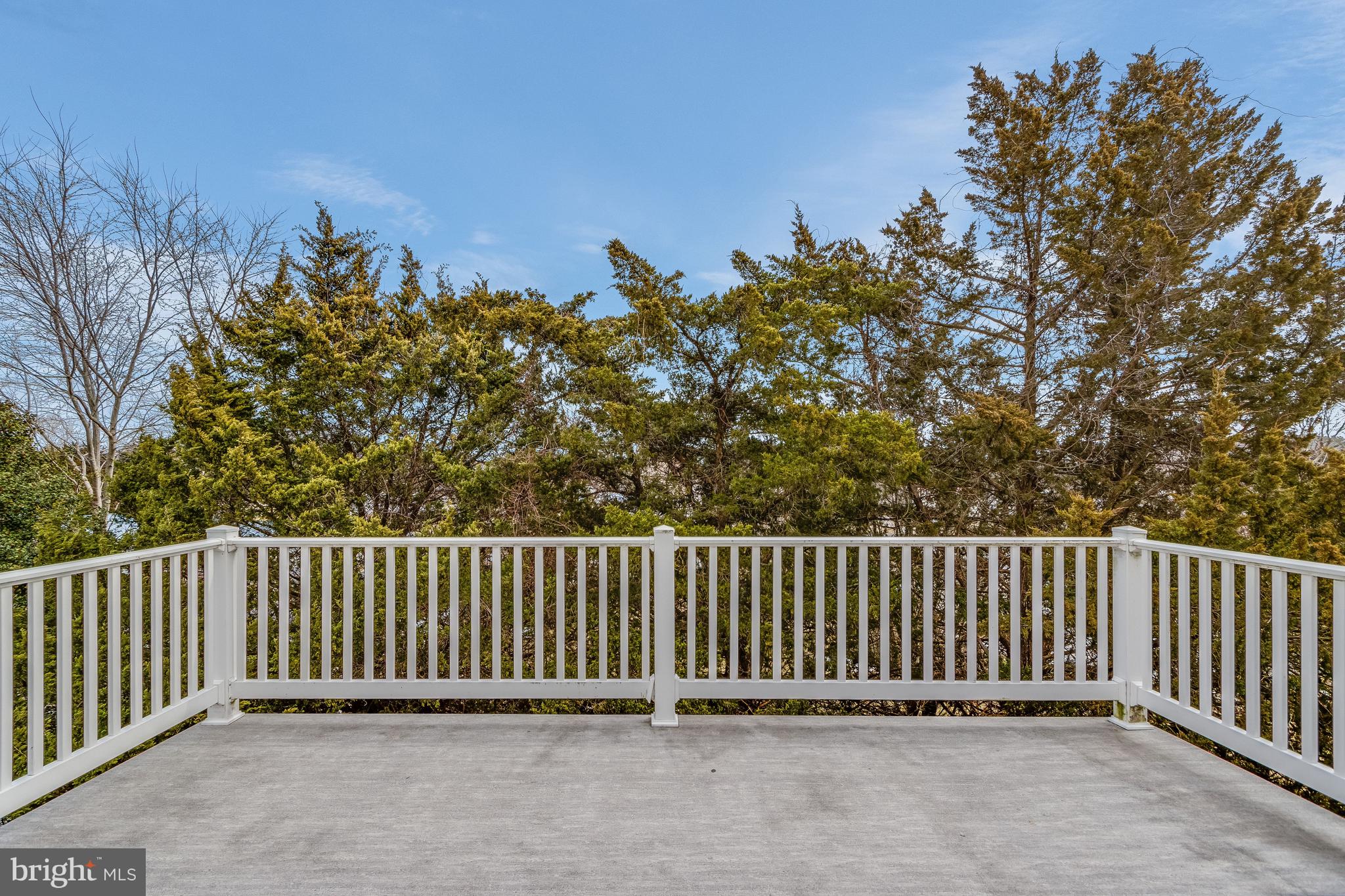 23539 Devonshire Road, Unit 75 Millsboro, DE 19966 - Photo 30 of 48 3rd Floor Deck