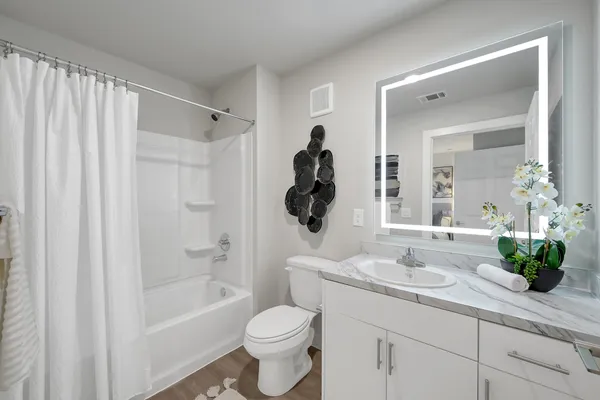 a bathroom with a granite countertop sink a toilet and a bathtub