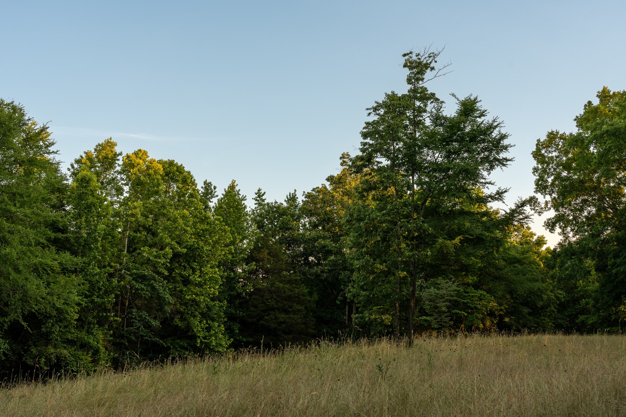 2073 Dog Branch Road Prospect, TN 38477 - Photo 55 of 59
