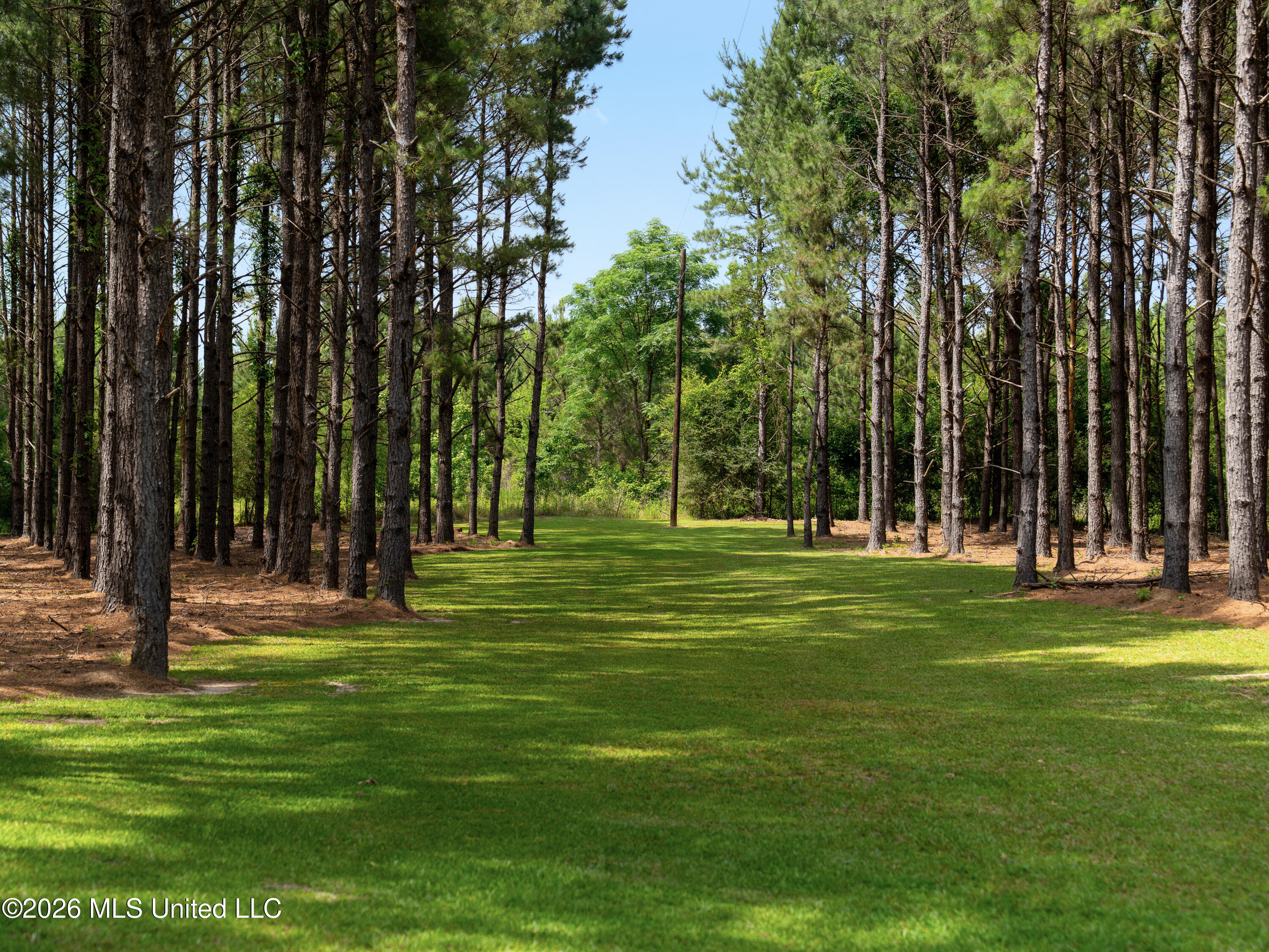 336 Toby Landrum Road Waynesboro, MS 39367 - Photo 10 of 106 A7402993