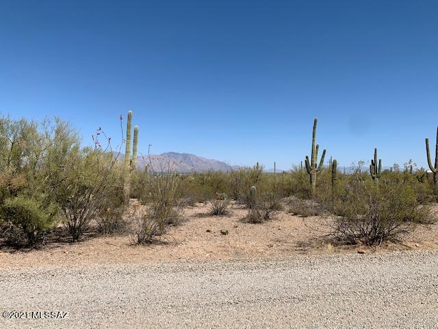 7089 West Ina Road, Unit 2 Tucson, AZ 85743 - Photo 5 of 12