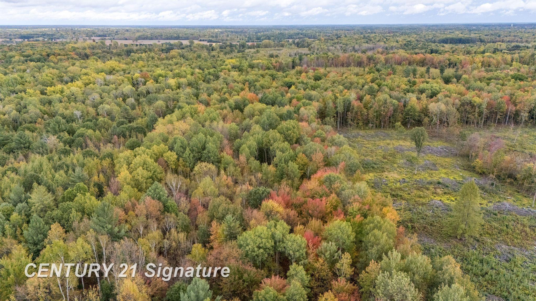 2847 South Grout Road Beaverton, MI 48612 - Photo 41 of 49