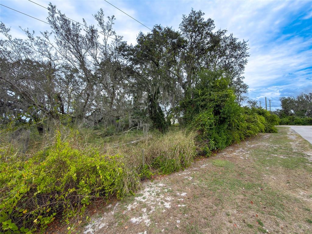 9947 Cowley Road Riverview, FL 33578 - Photo 12 of 14 Gallery Image 12