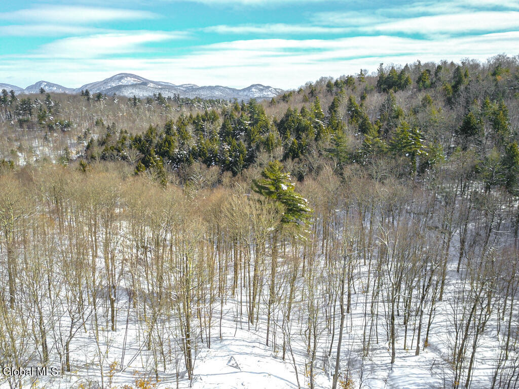 882 Padanarum Road Bolton, NY 12814 - Photo 59 of 59 DJI_0354