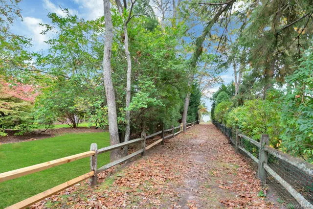 a view of a yard with plants and large trees