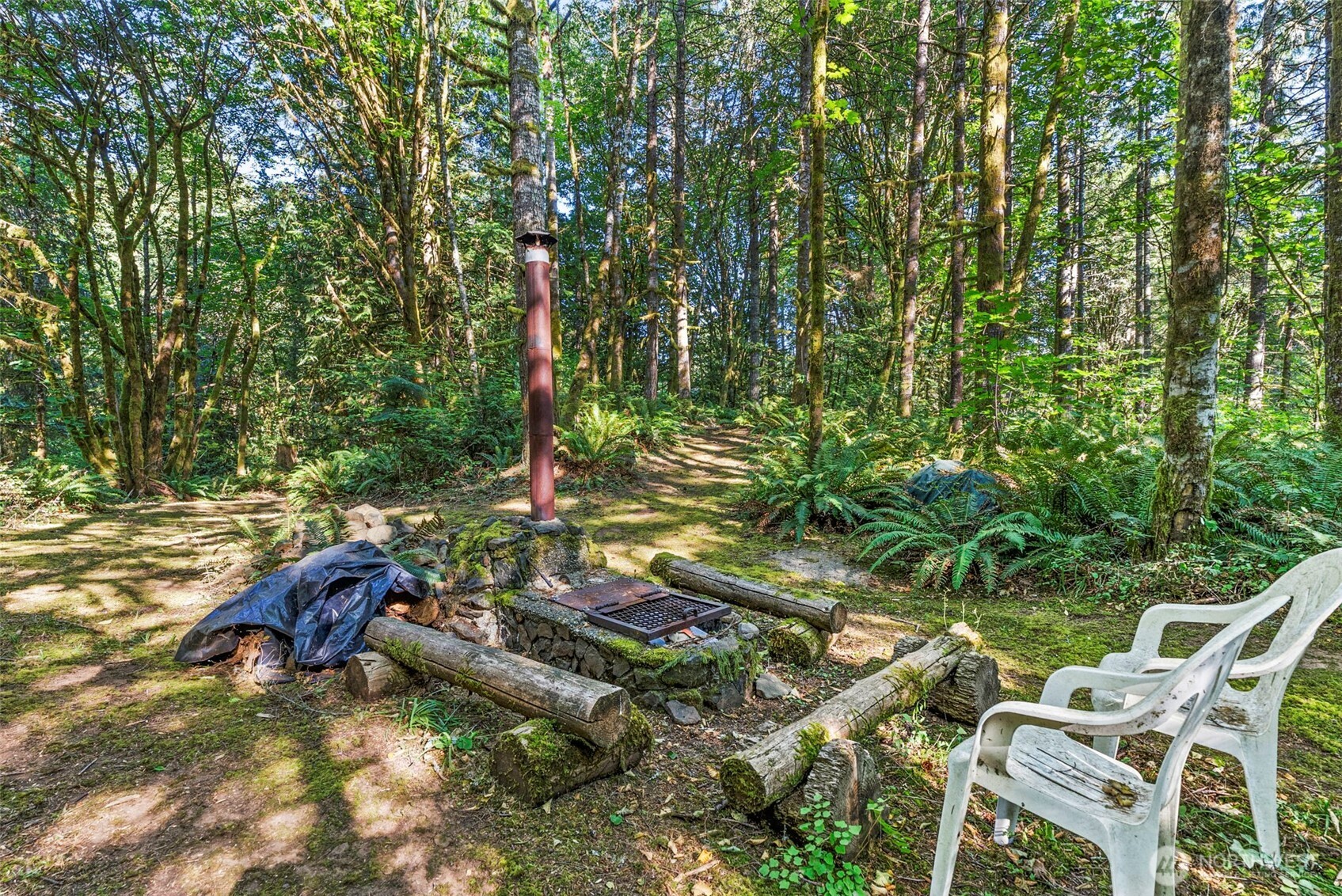 12832 Hunter Road Southwest Rochester, WA 98579 - Photo 37 of 40 Gallery Image 37