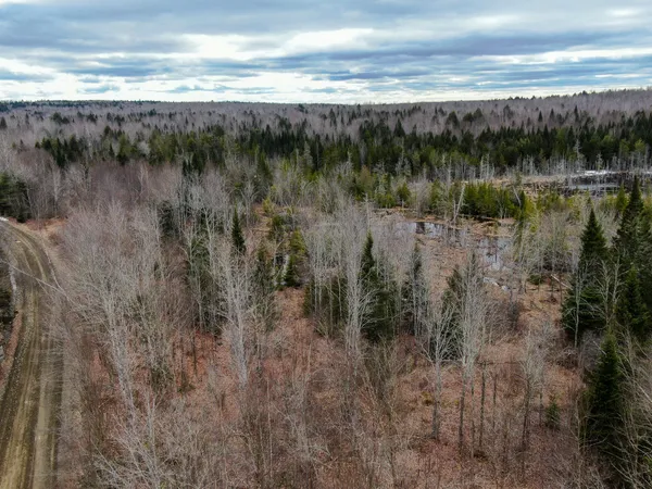 $55,000 | Lot 96 Freedom Way, Springfield, ME 04487