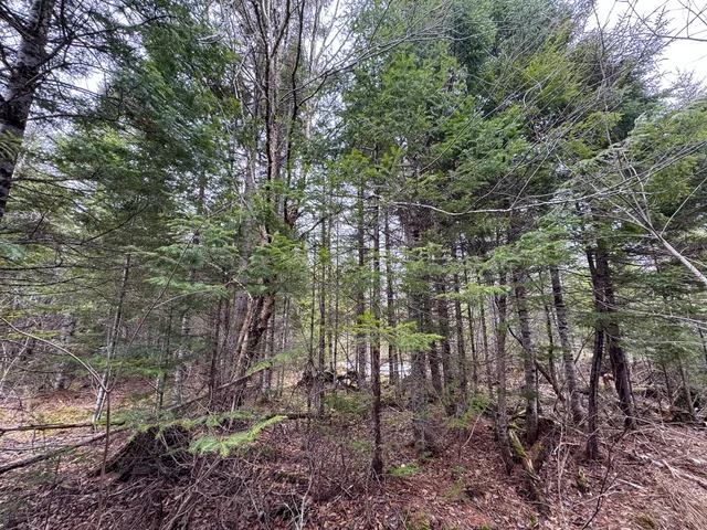 $65,000 | Lot 96 Freedom Way, Springfield, ME 04487