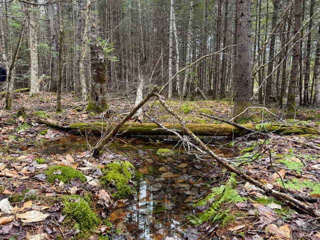 $65,000 | Lot 96 Freedom Way, Springfield, ME 04487