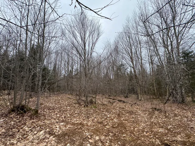 $65,000 | Lot 96 Freedom Way, Springfield, ME 04487