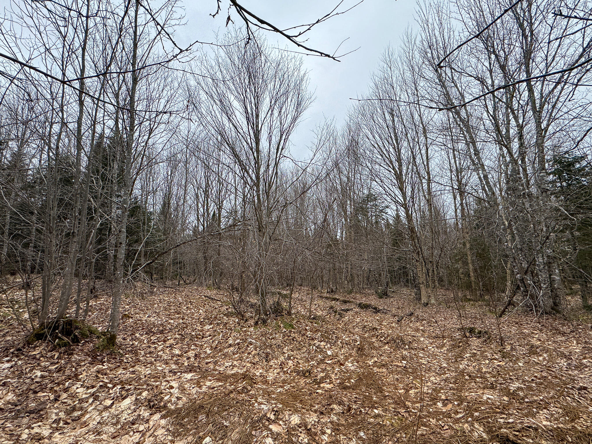 Lot 96 Freedom Way Springfield, ME 04487 - Photo 15 of 33 15