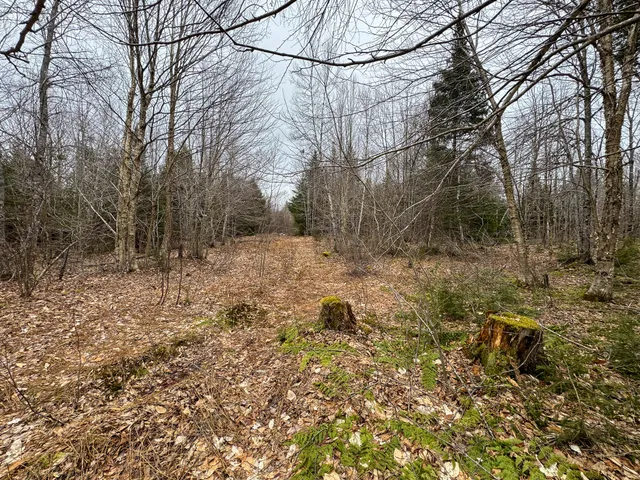 $65,000 | Lot 96 Freedom Way, Springfield, ME 04487