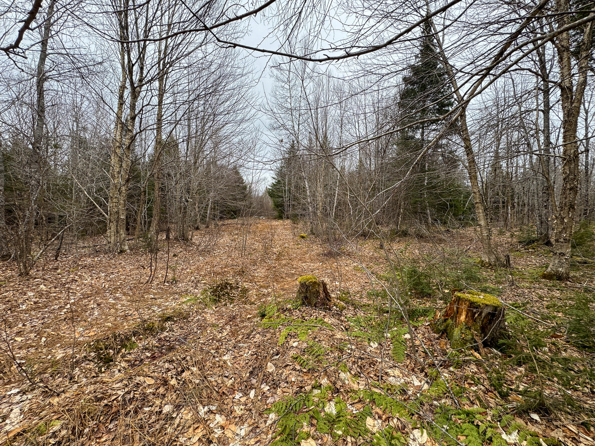 Lot 96 Freedom Way Springfield, ME 04487 - Photo 16 of 33 16