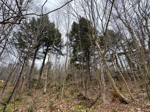 $65,000 | Lot 96 Freedom Way, Springfield, ME 04487