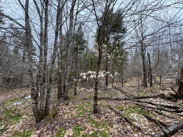 $65,000 | Lot 96 Freedom Way, Springfield, ME 04487