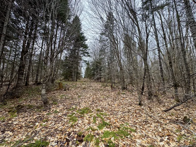 $65,000 | Lot 96 Freedom Way, Springfield, ME 04487