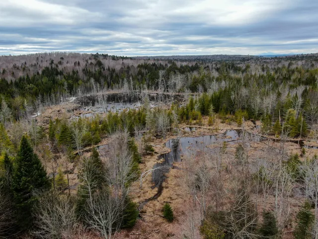 $65,000 | Lot 96 Freedom Way, Springfield, ME 04487