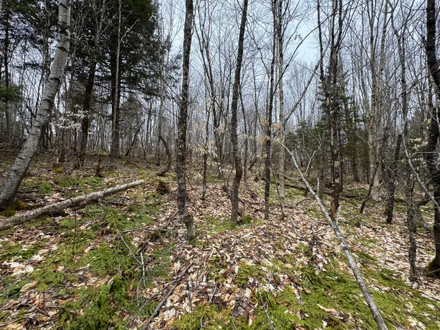 $65,000 | Lot 96 Freedom Way, Springfield, ME 04487