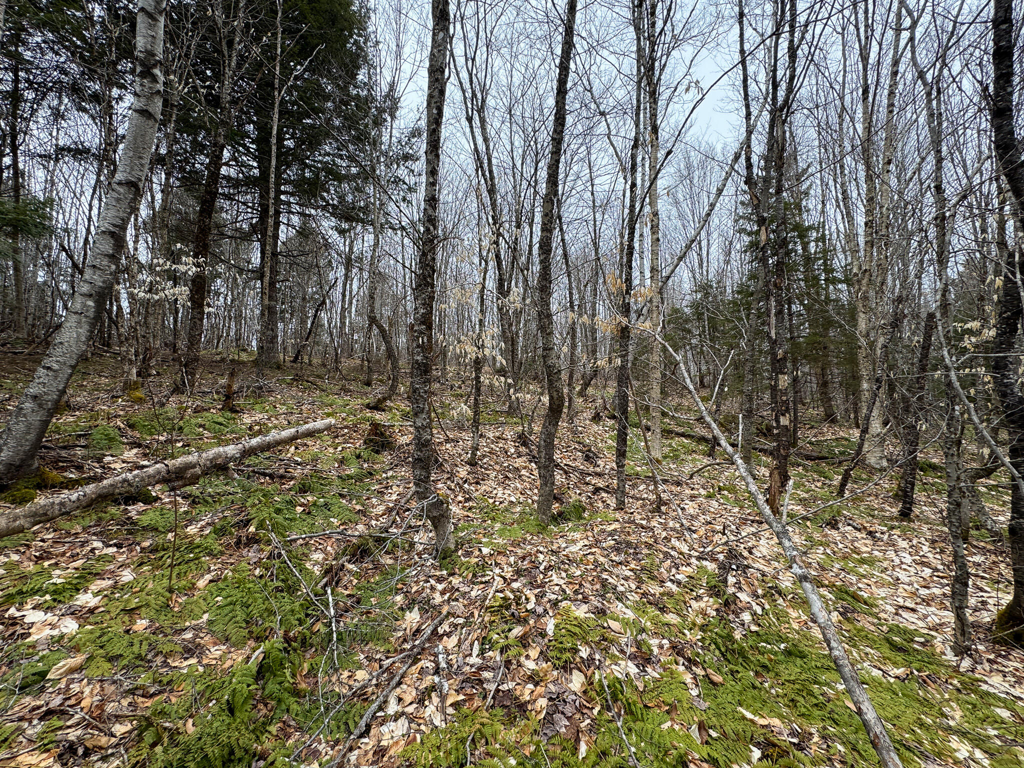 Lot 96 Freedom Way Springfield, ME 04487 - Photo 21 of 33 21
