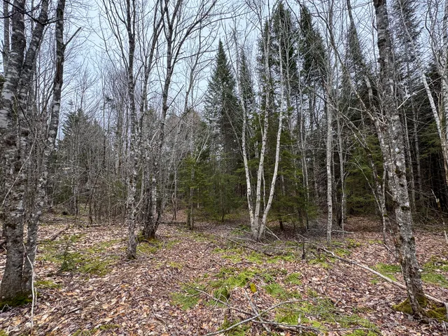 $65,000 | Lot 96 Freedom Way, Springfield, ME 04487