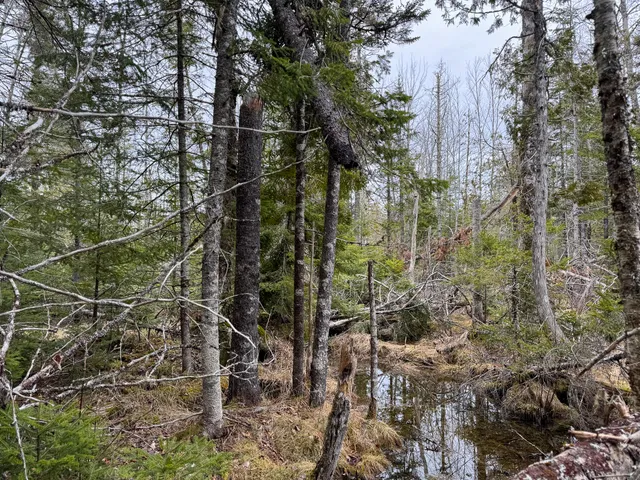 $65,000 | Lot 96 Freedom Way, Springfield, ME 04487