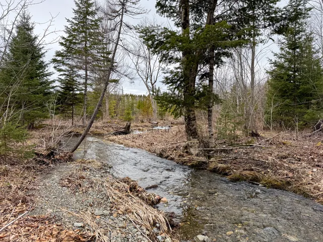 $65,000 | Lot 96 Freedom Way, Springfield, ME 04487
