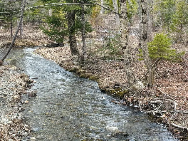 $65,000 | Lot 96 Freedom Way, Springfield, ME 04487