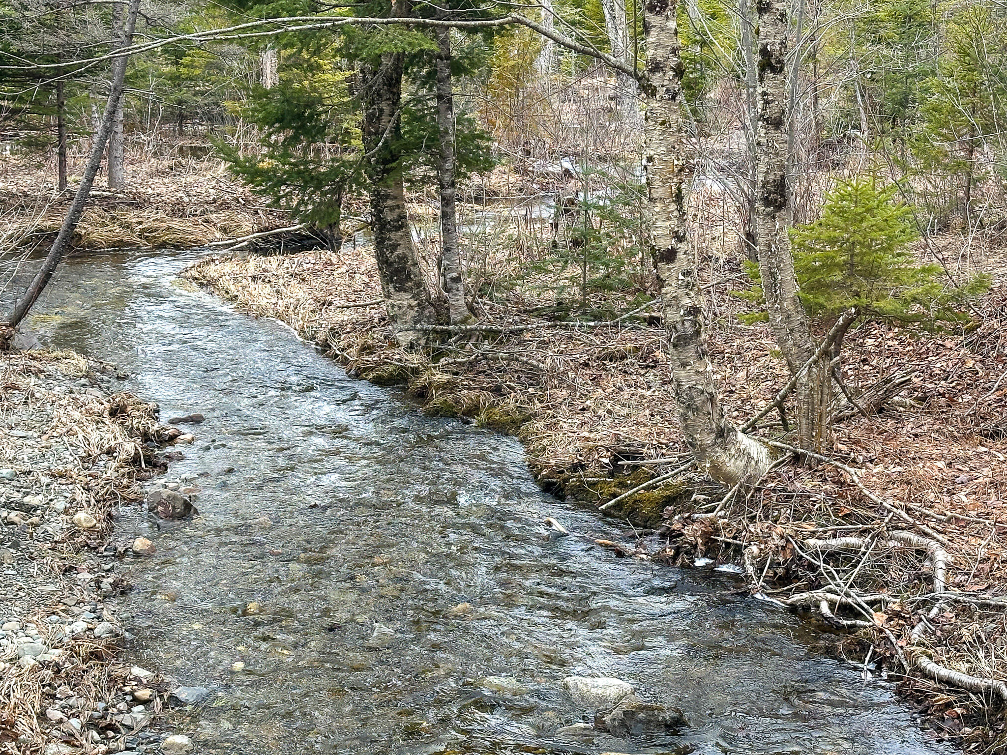 Lot 96 Freedom Way Springfield, ME 04487 - Photo 28 of 33 28