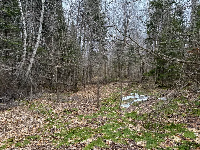 $65,000 | Lot 96 Freedom Way, Springfield, ME 04487