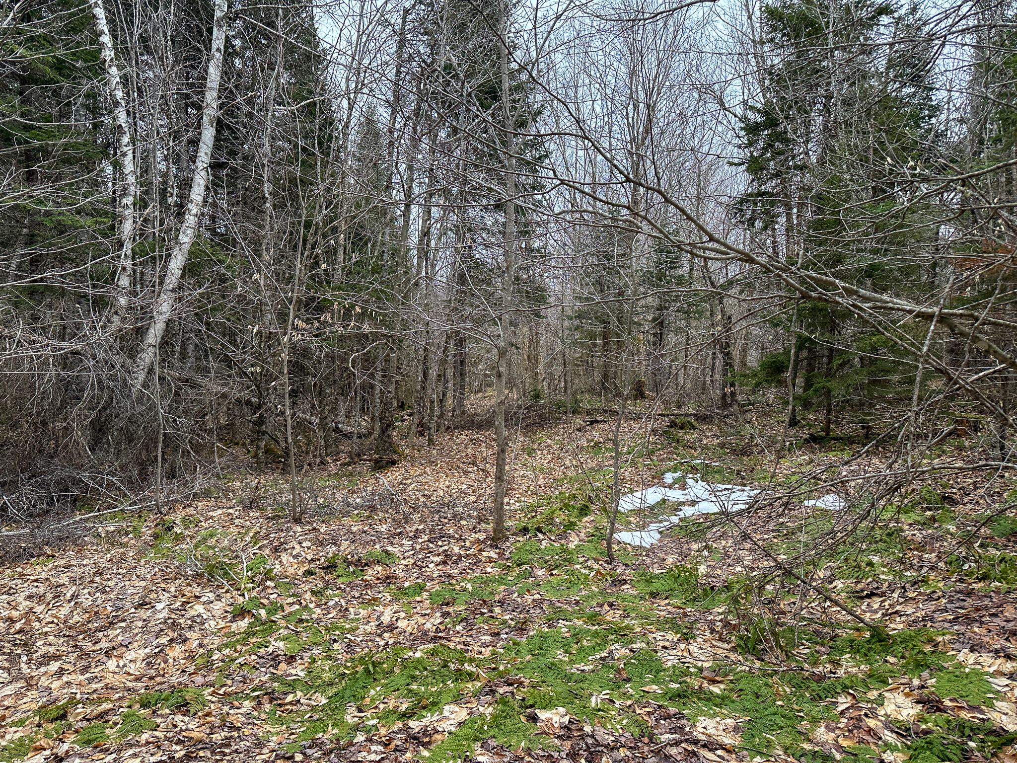 Lot 96 Freedom Way Springfield, ME 04487 - Photo 29 of 33 29