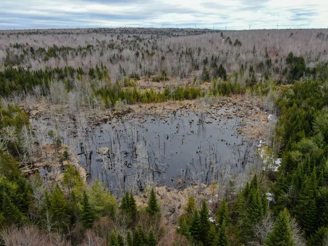 $65,000 | Lot 96 Freedom Way, Springfield, ME 04487