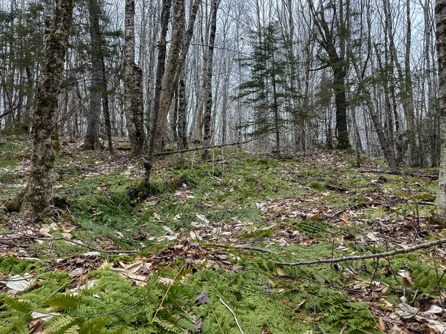 $65,000 | Lot 96 Freedom Way, Springfield, ME 04487