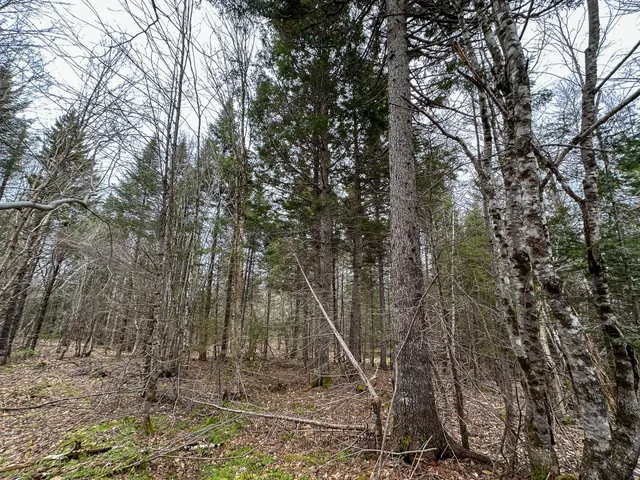 $65,000 | Lot 96 Freedom Way, Springfield, ME 04487