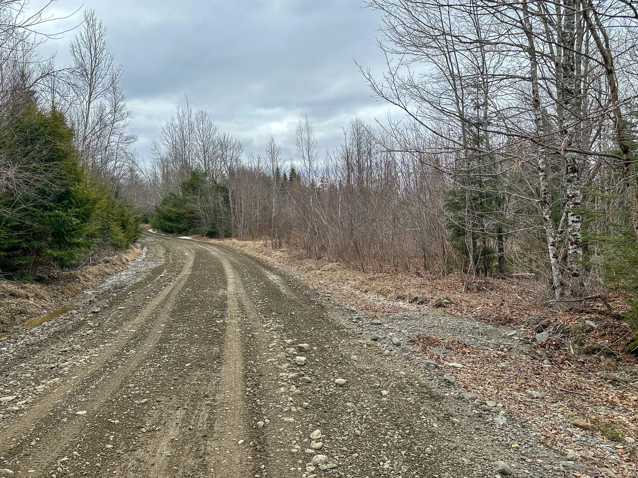 Lot 96 Freedom Way Springfield, ME 04487 - Photo 33 of 33 33