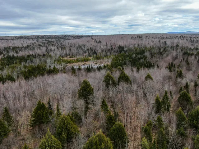 $65,000 | Lot 96 Freedom Way, Springfield, ME 04487