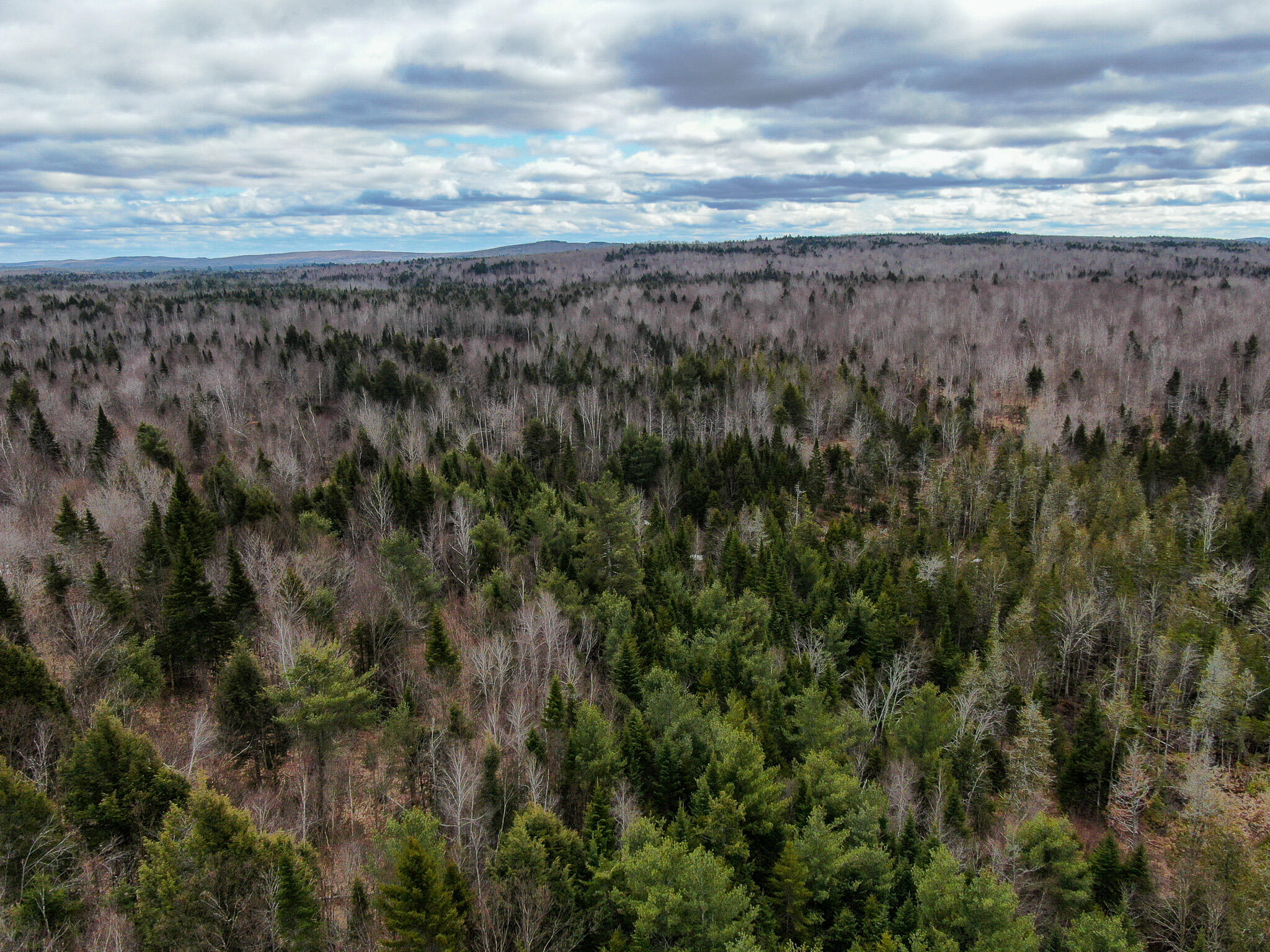Lot 96 Freedom Way Springfield, ME 04487 - Photo 5 of 33 5
