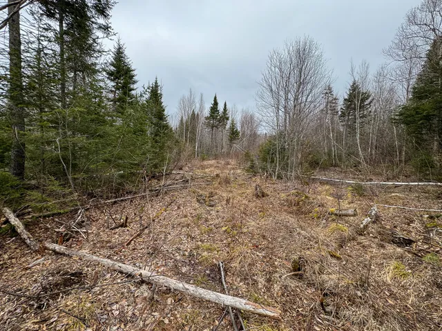 $65,000 | Lot 96 Freedom Way, Springfield, ME 04487