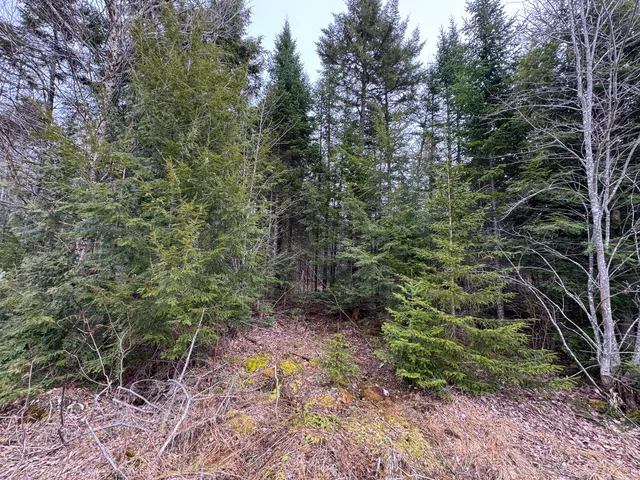 $65,000 | Lot 96 Freedom Way, Springfield, ME 04487
