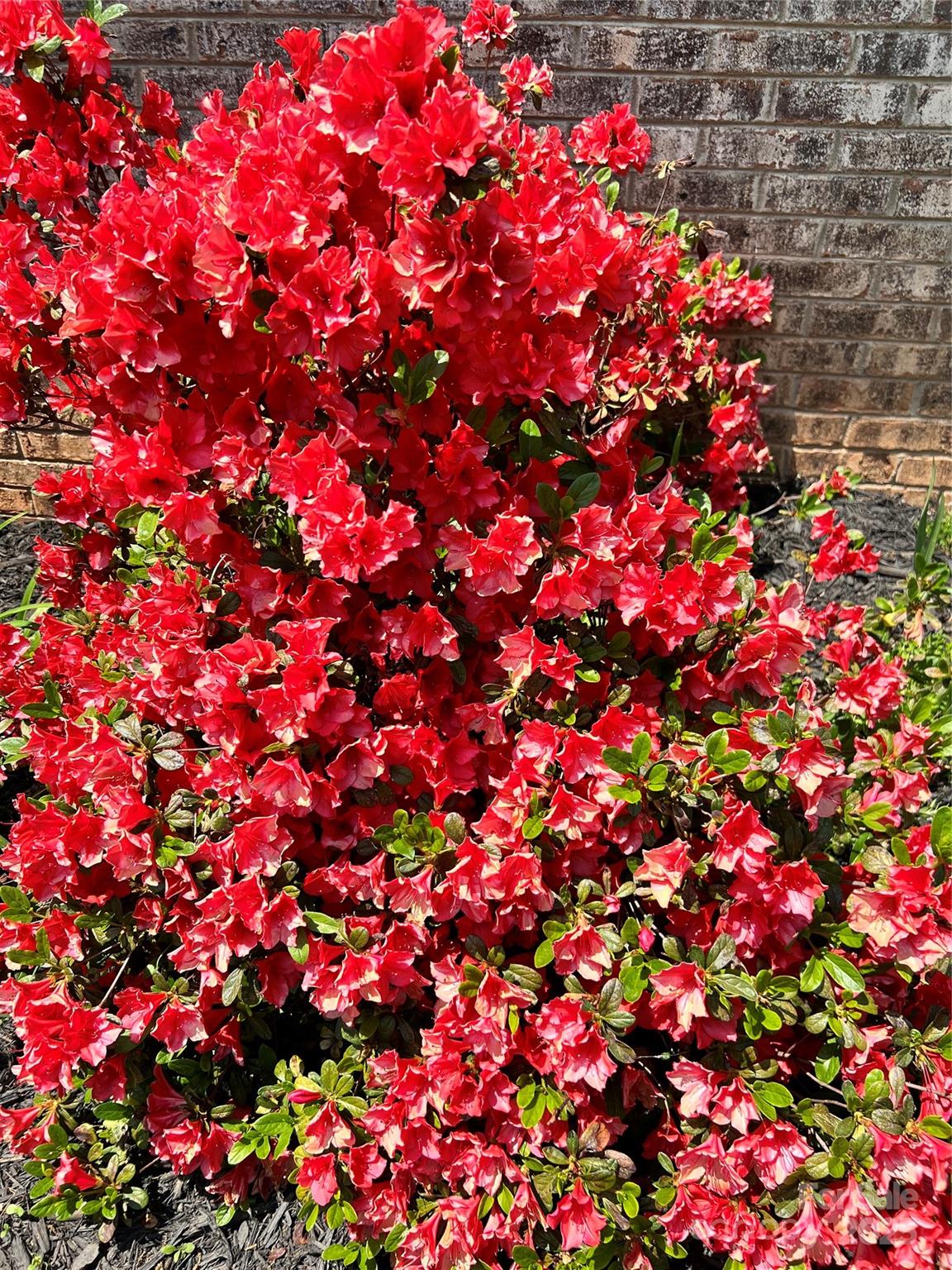 138 Shadowgate Drive Shelby, NC 28152 - Photo 31 of 35