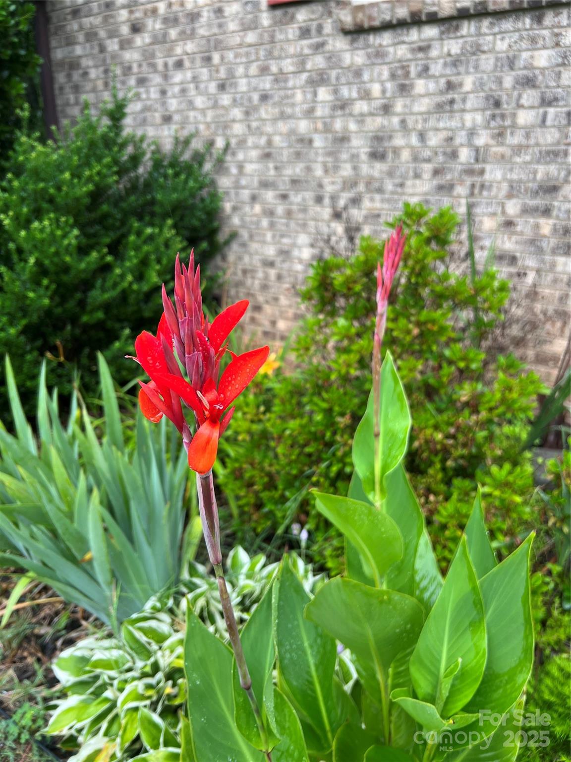 138 Shadowgate Drive Shelby, NC 28152 - Photo 32 of 35