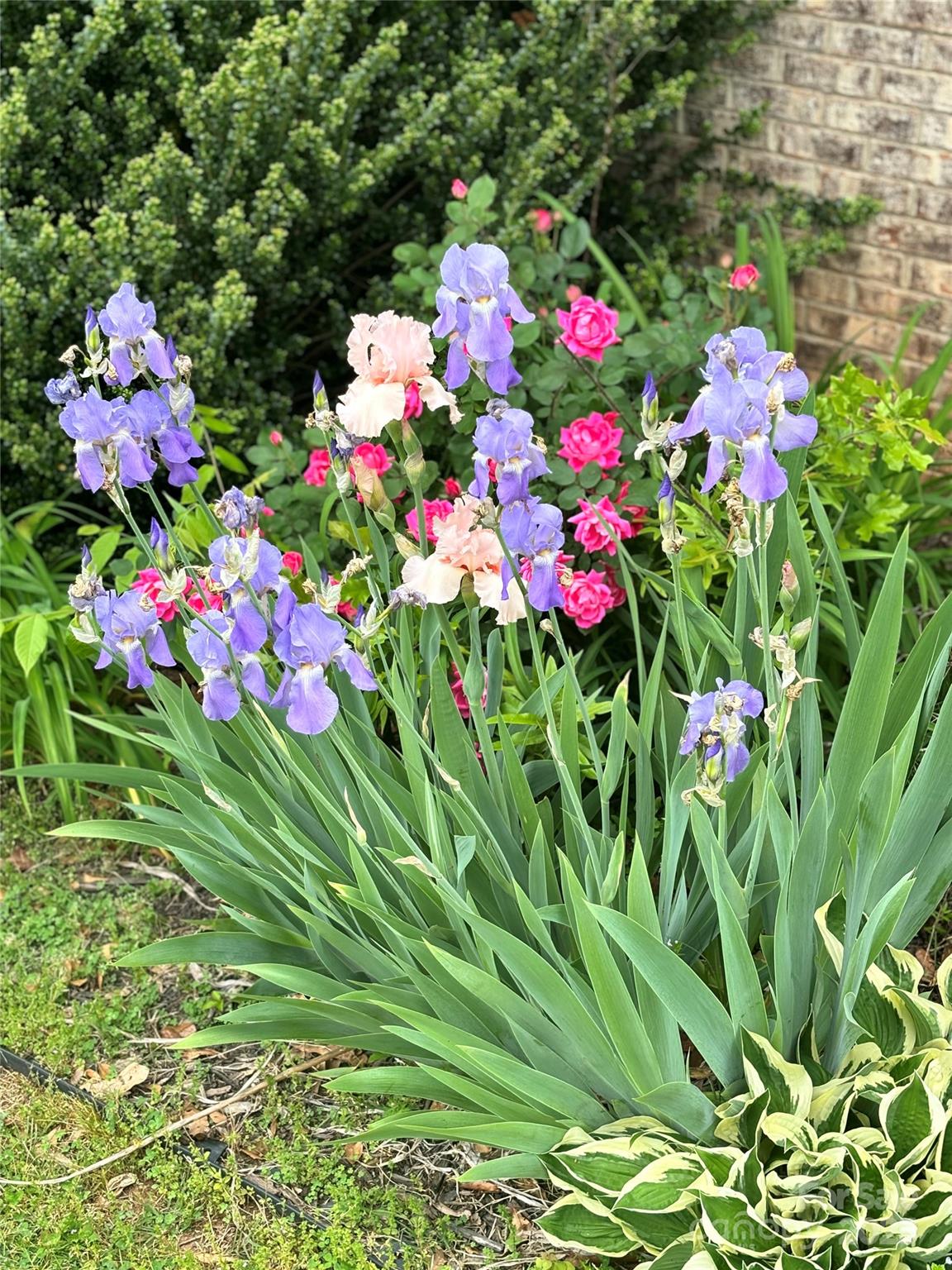 138 Shadowgate Drive Shelby, NC 28152 - Photo 34 of 35