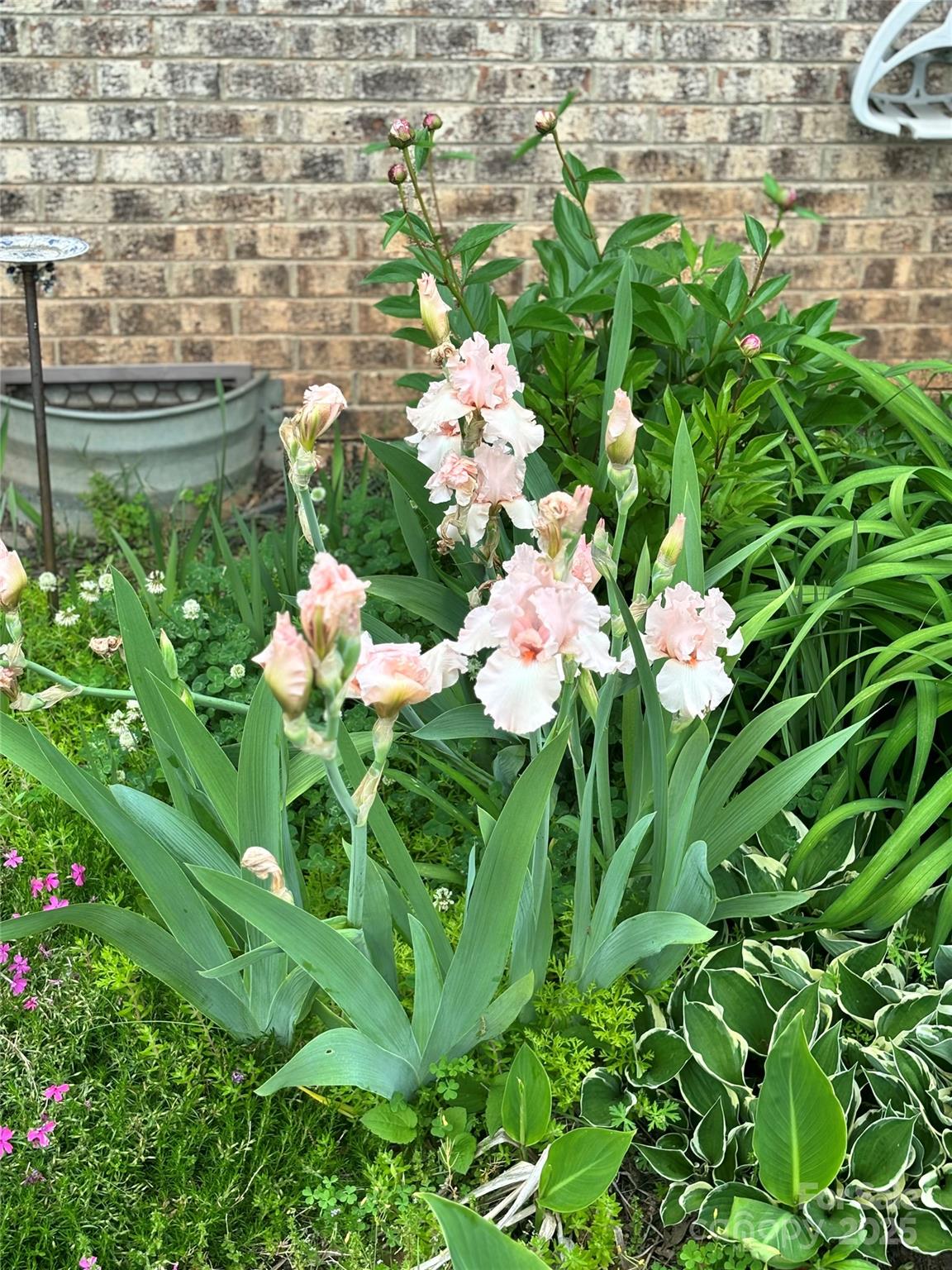 138 Shadowgate Drive Shelby, NC 28152 - Photo 35 of 35