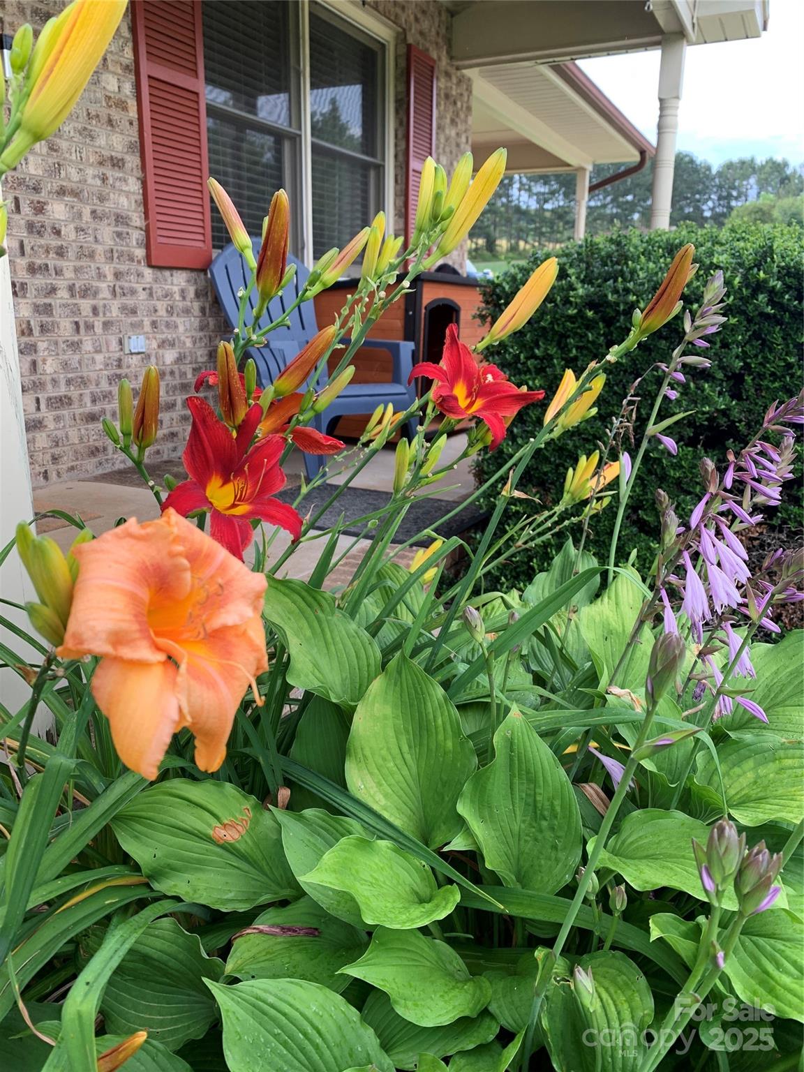 138 Shadowgate Drive Shelby, NC 28152 - Photo 4 of 35