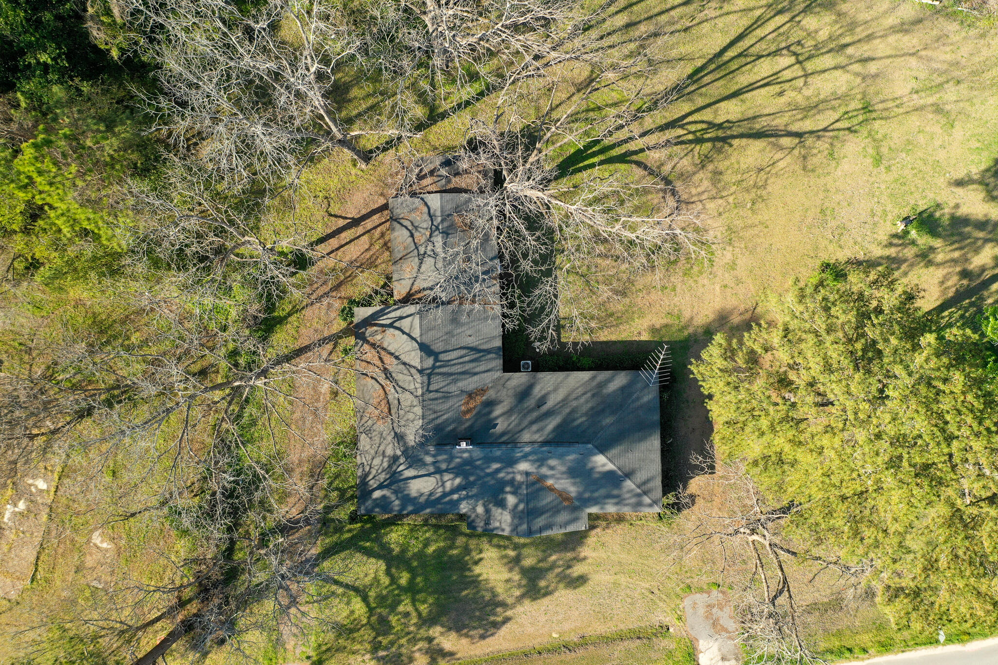 6156 Badham Drive Reevesville, SC 29471 - Photo 8 of 18 6156 Badham Dr-8