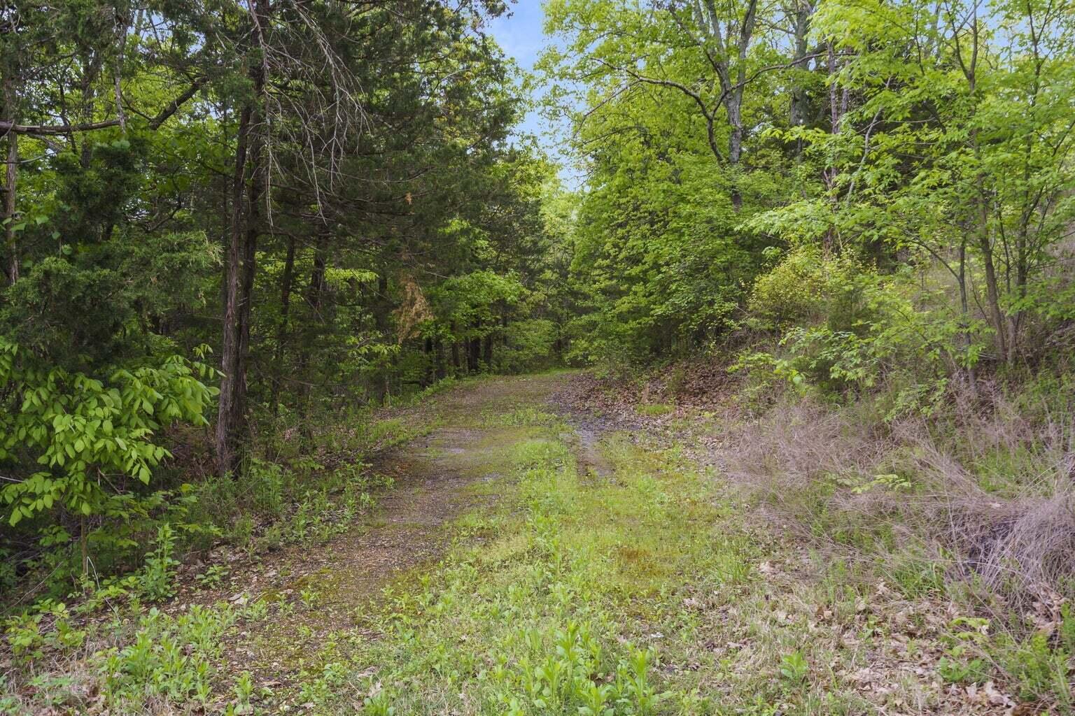 86 Rasso Way, Unit 78 Kimberling City, MO 65686 - Photo 41 of 49 20260109162131887038000000-o