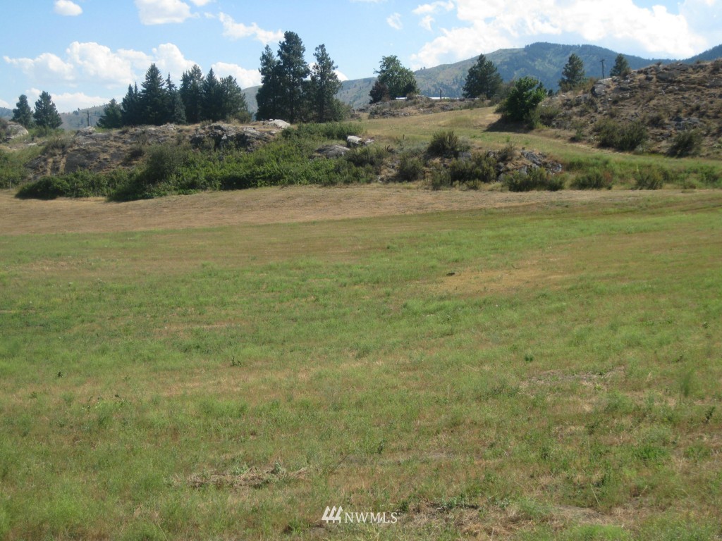 9-lot Lloyd Road Manson, WA 98831 - Photo 13 of 15 Gallery Image 13