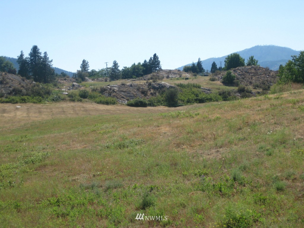 9-lot Lloyd Road Manson, WA 98831 - Photo 5 of 15 Gallery Image 5