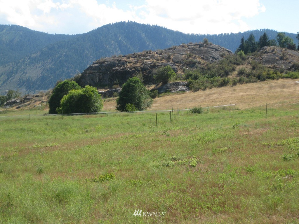 9-lot Lloyd Road Manson, WA 98831 - Photo 7 of 15 Gallery Image 7