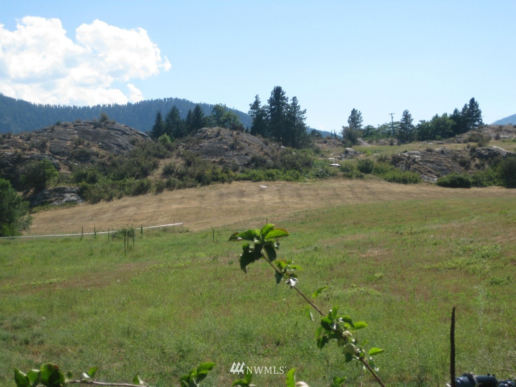 9-lot Lloyd Road Manson, WA 98831 - Photo 8 of 15 Gallery Image 8