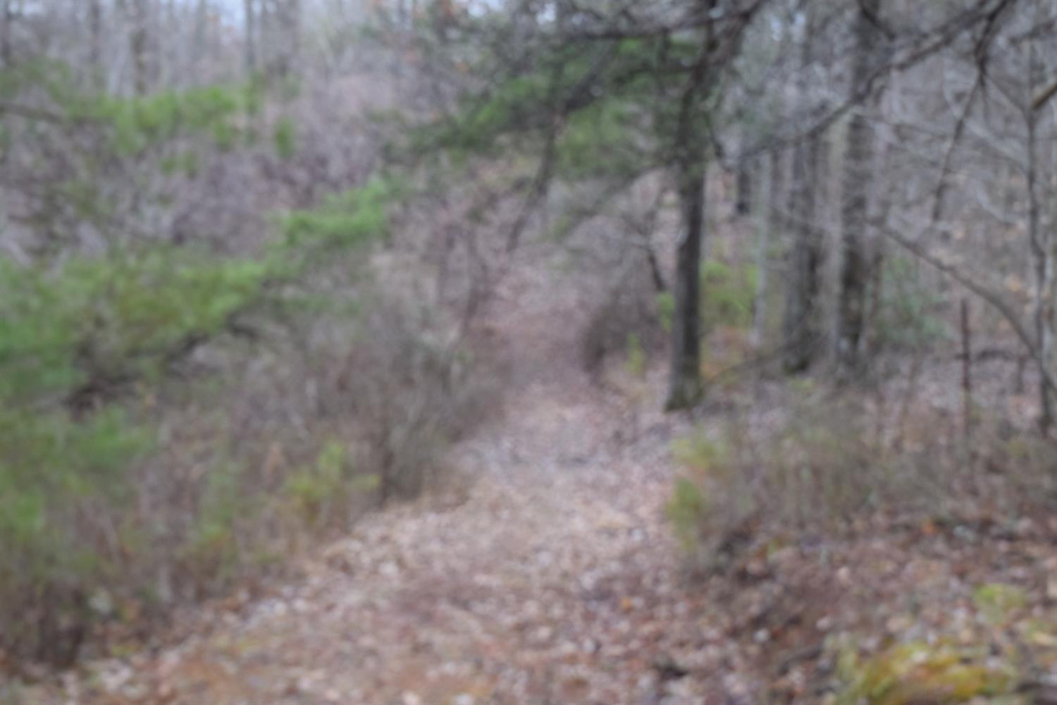 524 Centerville Road West Liberty, KY 41472 - Photo 25 of 28 Photo 25